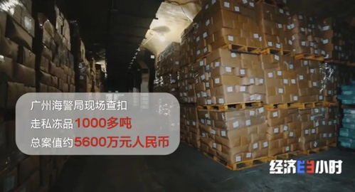 海關重拳出擊 查獲走私凍品4.9萬噸，部分竟源自非洲豬瘟高發疫區，國內貿易代理敲響安全警鐘